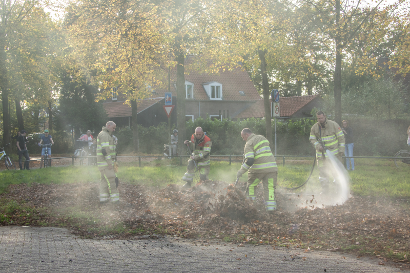 Flinke rook bij bladeren-brand