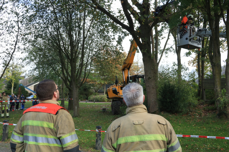 Deel van boom breekt af na storm