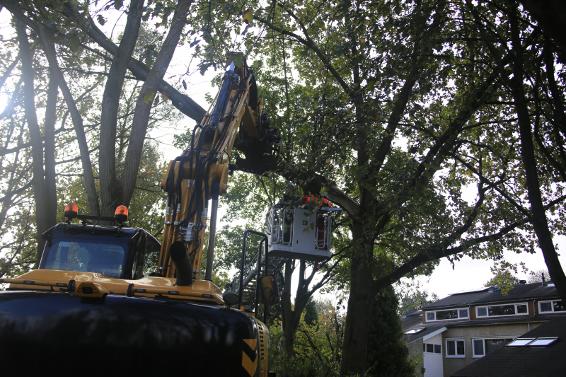Deel van boom breekt af na storm