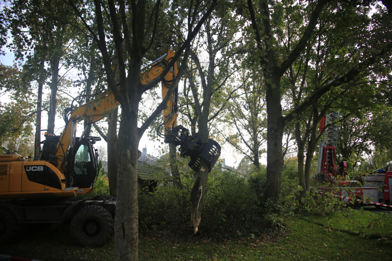 Deel van boom breekt af na storm
