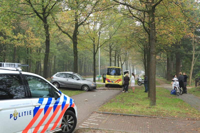 Automobilist gewond na botsing tegen boom