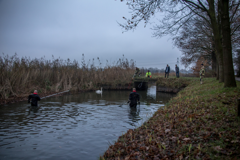 Brandweer en Dierenzorg Eemland redden gewonde zwaan