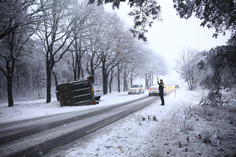 Auto met paardentrailer crasht