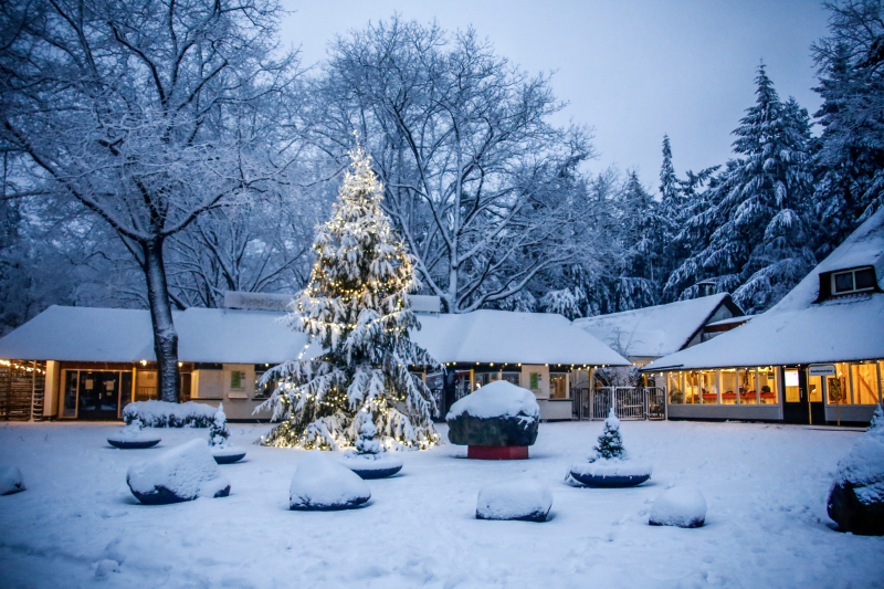 Dierenpark sluit eerder deuren door hevige sneeuwval