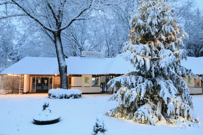 Dierenpark sluit eerder deuren door hevige sneeuwval