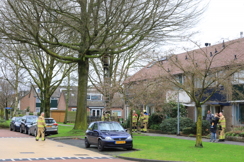 Brandweer verwijderd gevaarlijk hangende takken