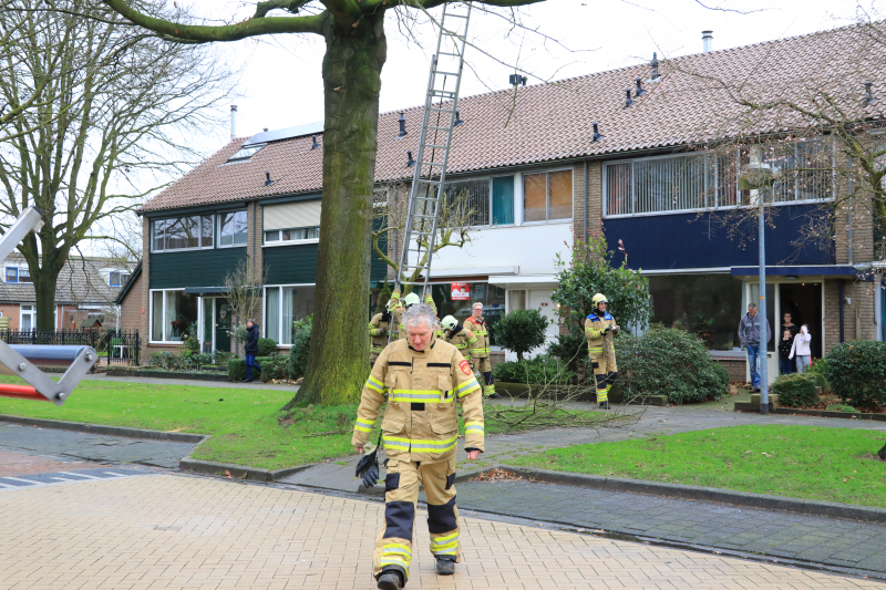 Brandweer verwijderd gevaarlijk hangende takken