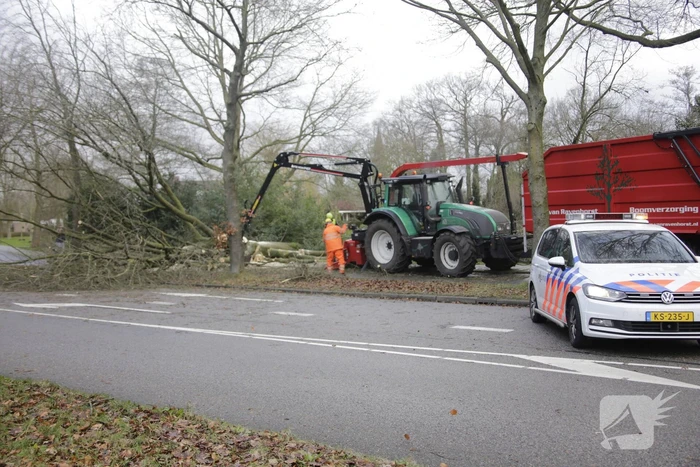 Weg en fietspad verspert door omgewaaide boom