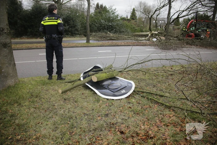 Weg en fietspad verspert door omgewaaide boom