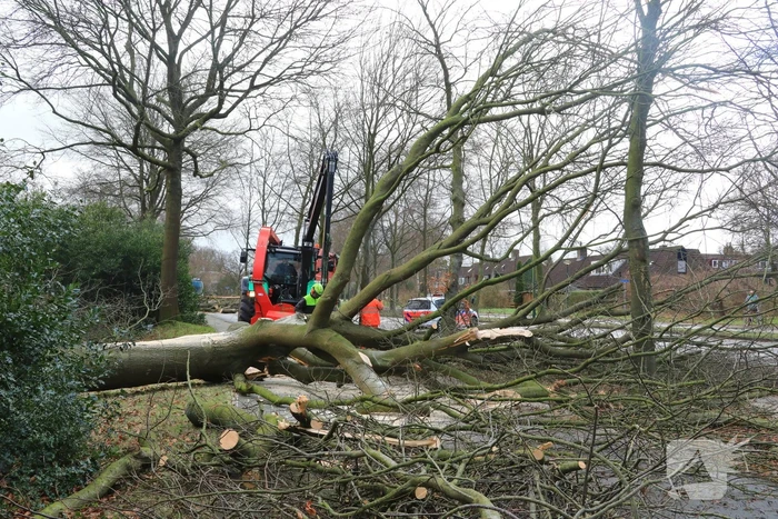 Weg en fietspad verspert door omgewaaide boom