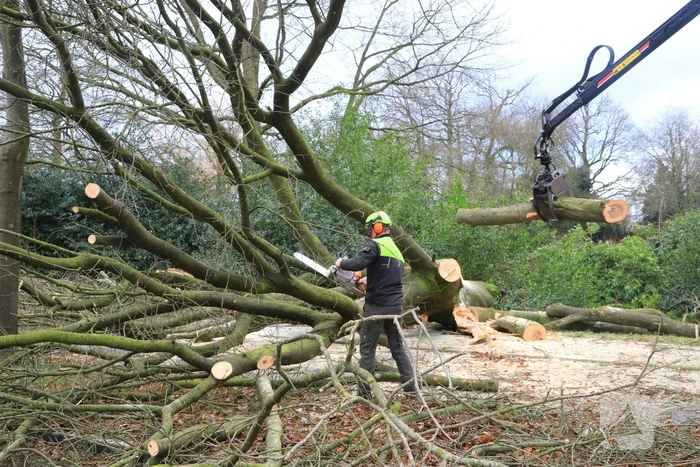 Weg en fietspad verspert door omgewaaide boom