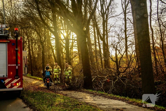 Fietspad verspert door omgewaaide boom