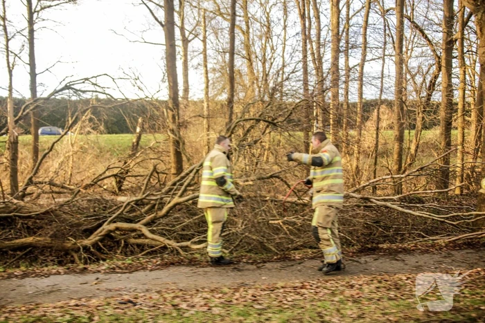 Fietspad verspert door omgewaaide boom