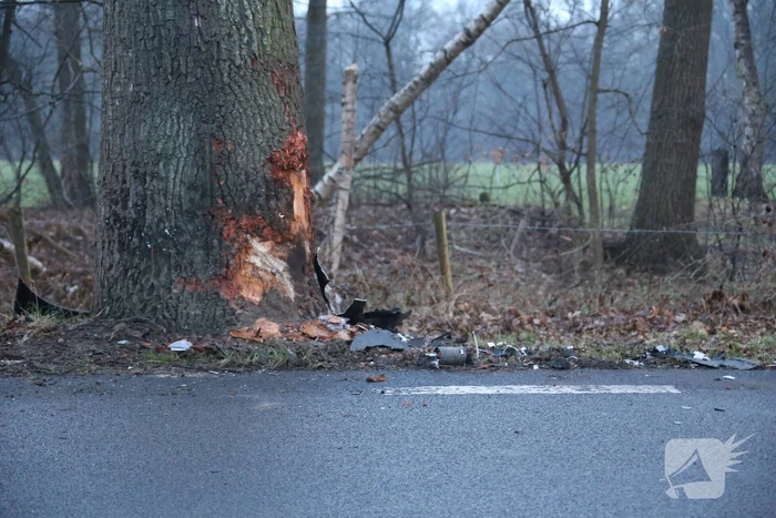 Auto botst frontaal op boom