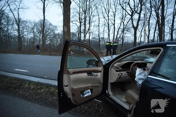 Auto botst frontaal op boom