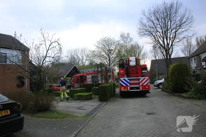 Vlam in de pan