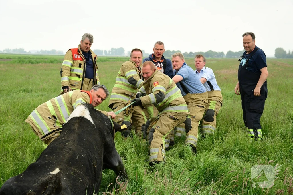 Zuid Ervenweg 112 meldingen Eemnes 