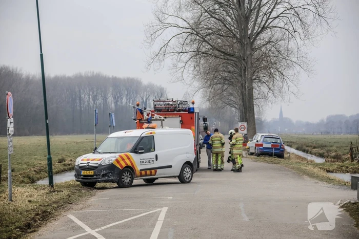Brandweer redt logeerhond Buck (1,5) uit water De Meent