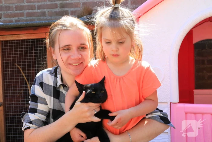 Kitten Oscar springt uit hoge  boom bij reddingsactie