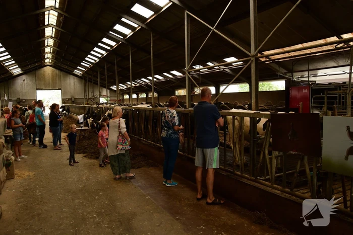 Veel publiek bij open dag en koeiendans