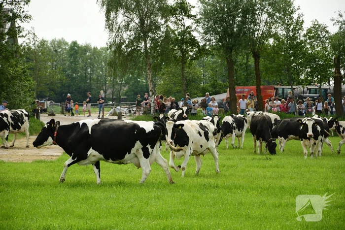 nieuws geerenweg eemnes