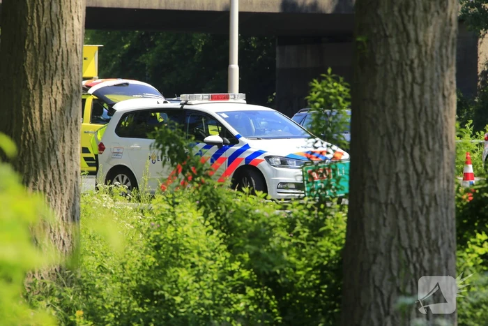 Remactie op snelweg voor overstekende eendjes veroorzaakt ongeval