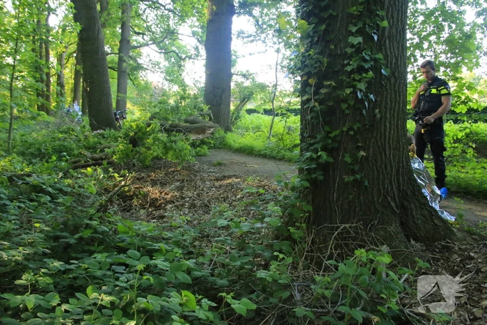 Hardloopster gewond door vallende tak