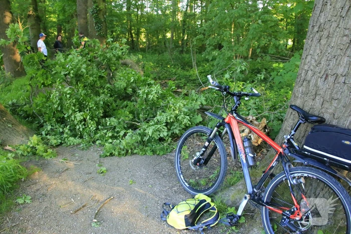 Hardloopster gewond door vallende tak