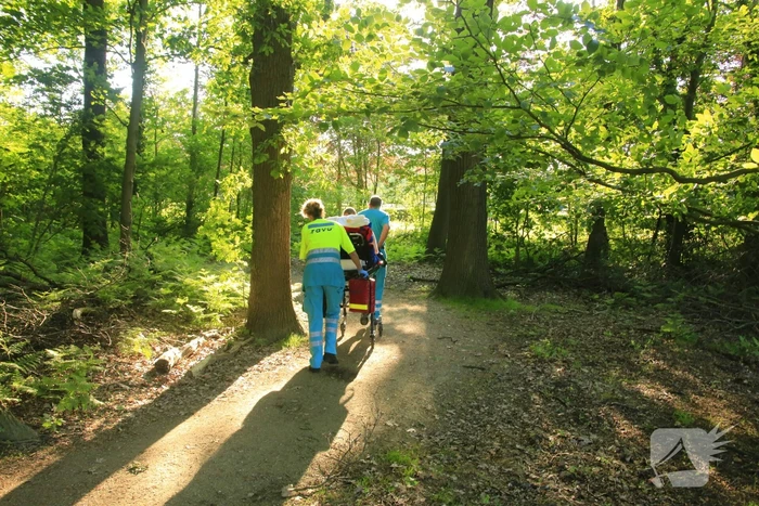 Hardloopster gewond door vallende tak