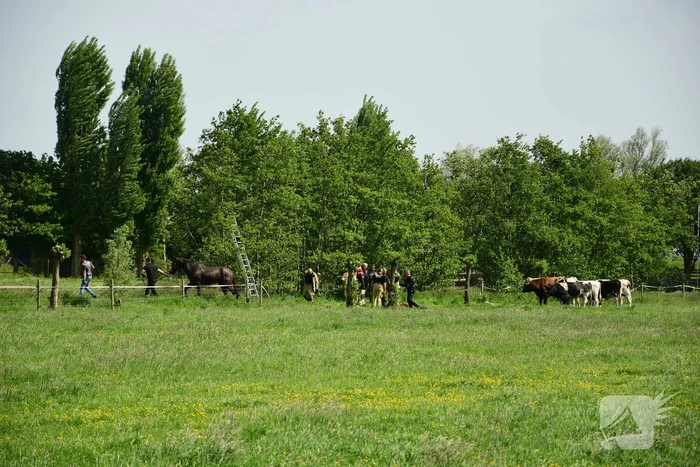 ongeval weesperweg muiden