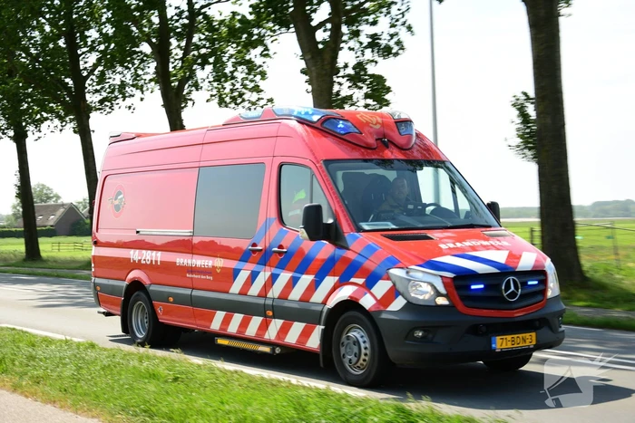 Te water geraakt paard gered door de brandweer