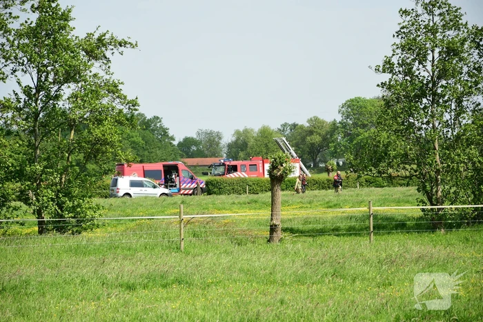 Te water geraakt paard gered door de brandweer