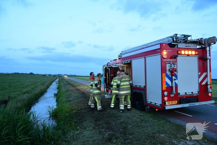Brandweer redt koe uit sloot