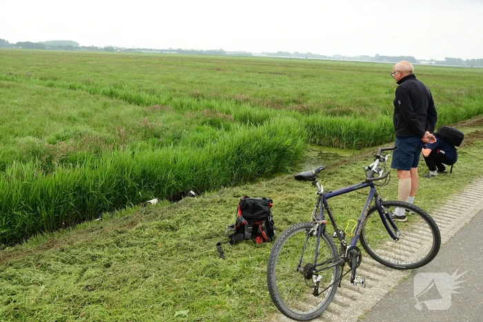 Mountainbiker treft eenzame koe aan in sloot