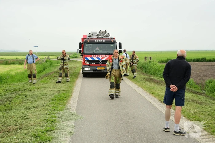 Mountainbiker treft eenzame koe aan in sloot