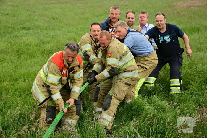Mountainbiker treft eenzame koe aan in sloot