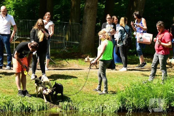 Kasteel in teken van hondenevenement