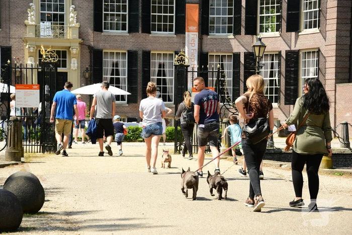 Kasteel in teken van hondenevenement