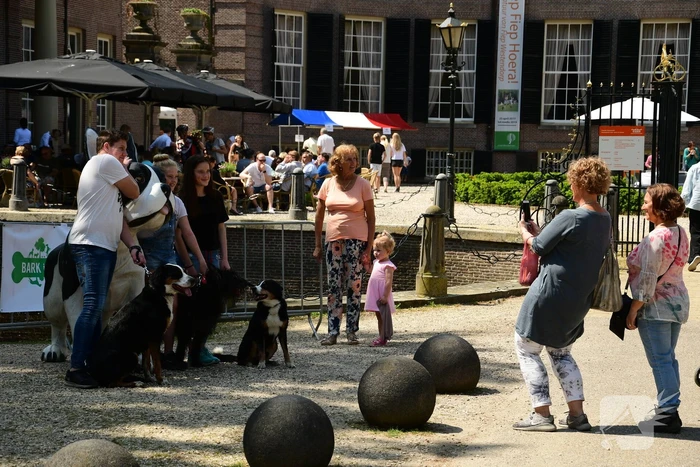 Kasteel in teken van hondenevenement