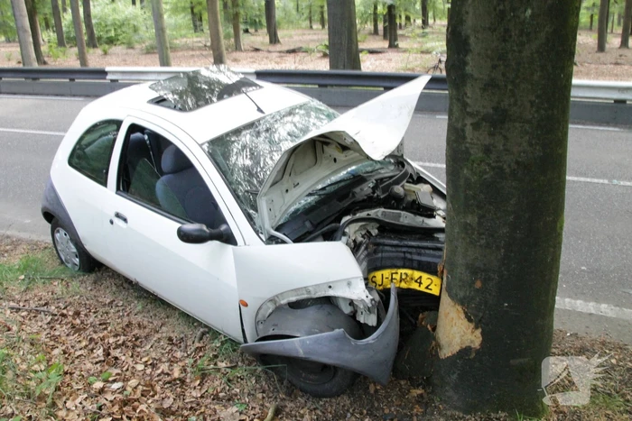 Automobilist gewond na botsing met boom