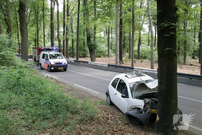 Automobilist gewond na botsing met boom