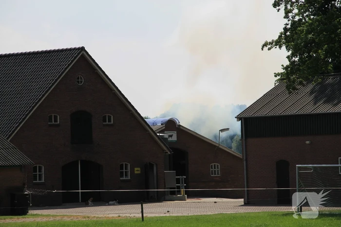 Brand in stal