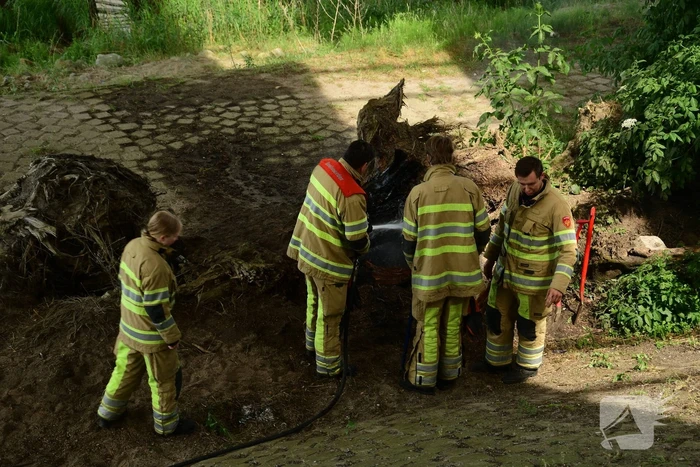 Daklozen stichtten voor tweede brand en krijgen 280 euro boete