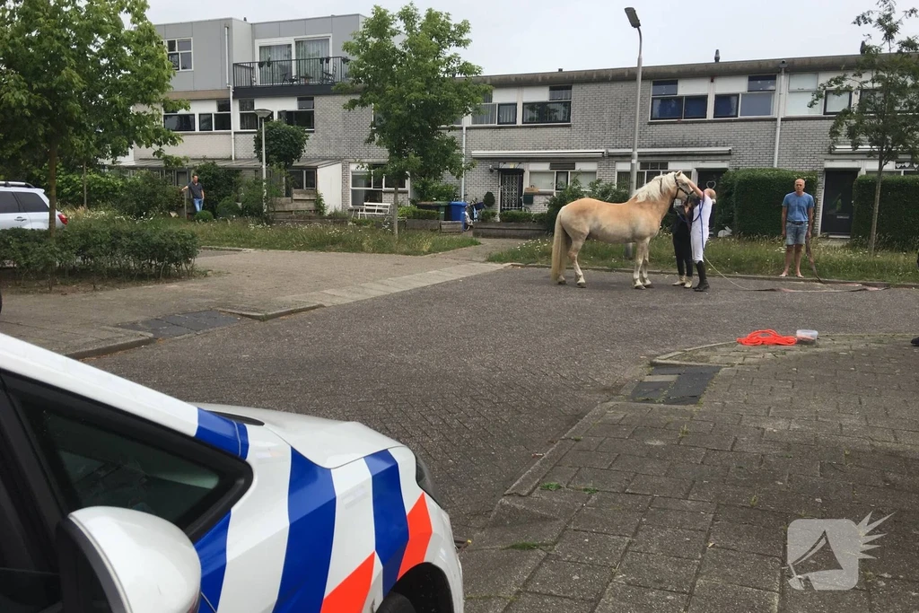 Theo Uden Masmanstraat 112 melding Amersfoort 