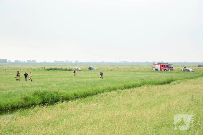 Voorbijgangers zien lammetje in de sloot