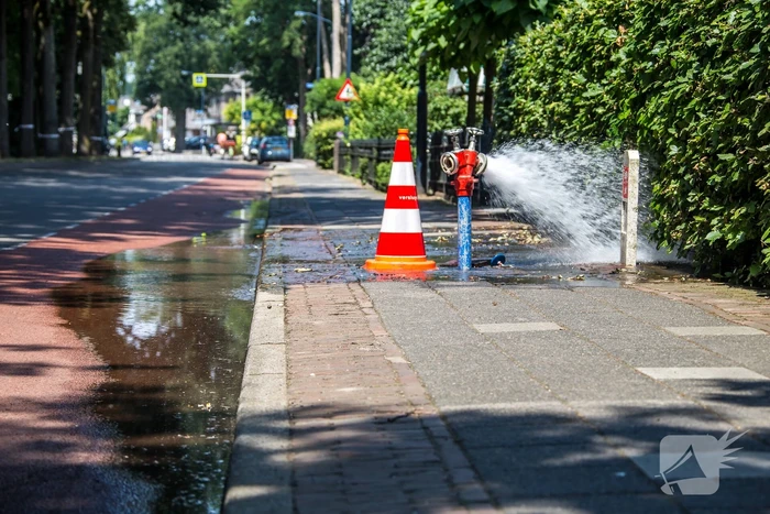 Vluchtheuvels zorgen voor waterlekkage