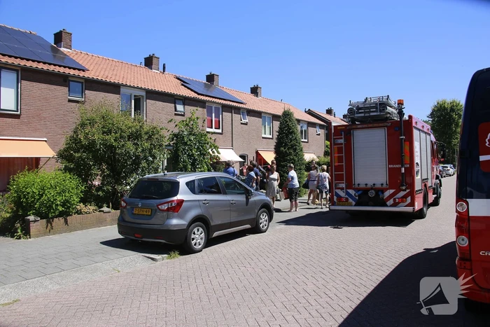 Onkruidbrander zet heg en zonnenscherm in brand
