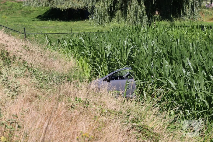 Automobilist rijdt van dijk en raakt gewond