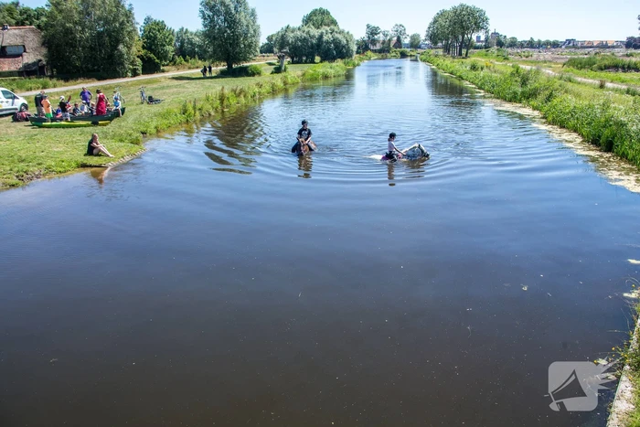 Zowel mens als dier zoeken verkoeling op