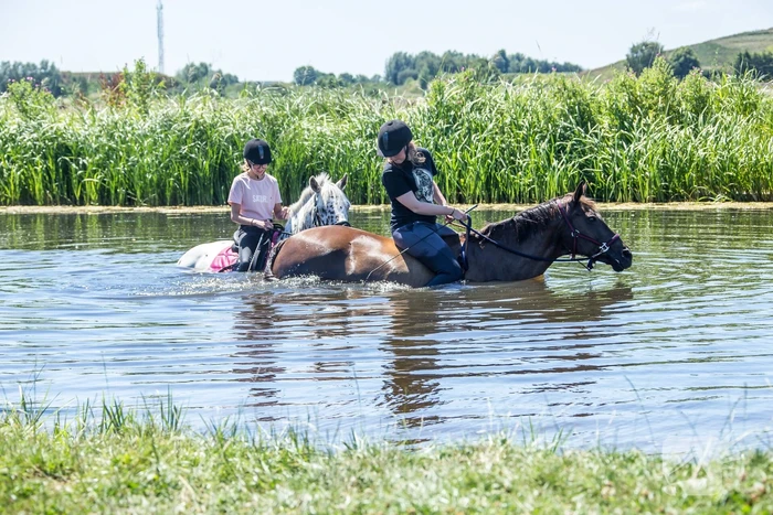 Zowel mens als dier zoeken verkoeling op